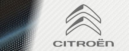 Feux de plaque d'immatriculation LED Citroën